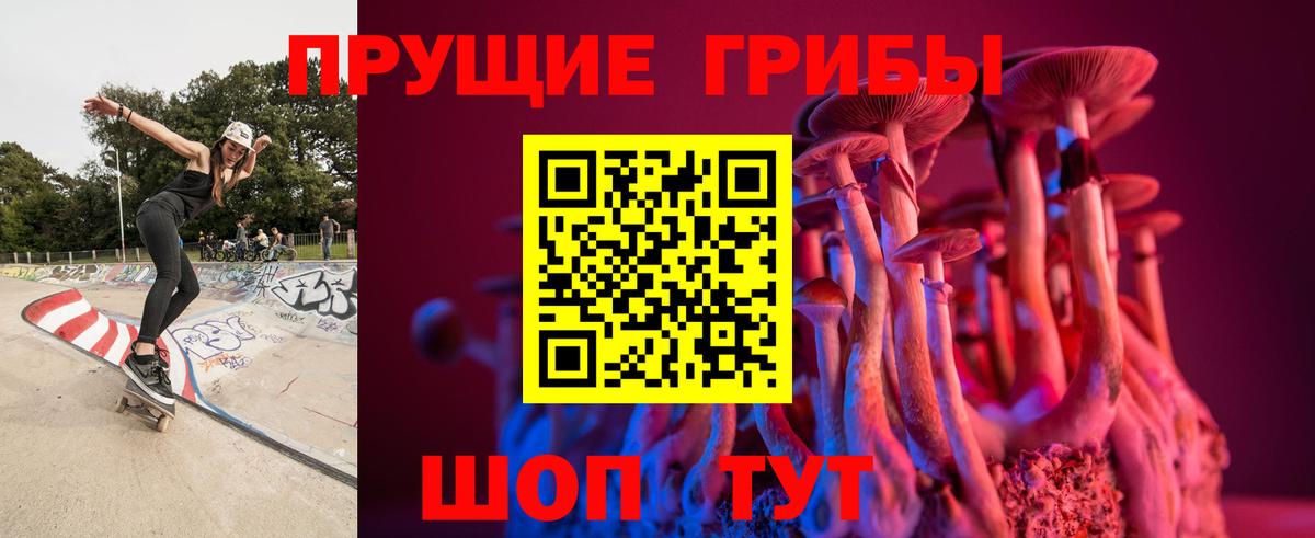 Галлюциногенные грибы прущие грибы  Вход с VPN  Галлюциногенные грибы Psilocybine cubensis  Тулун 